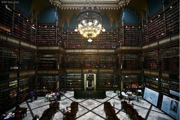 蘭の王国　ブラジル大紀行 洋蘭 書籍 BRAZILIAN ORCHIDS 蘭の大国 ブラジル大紀行